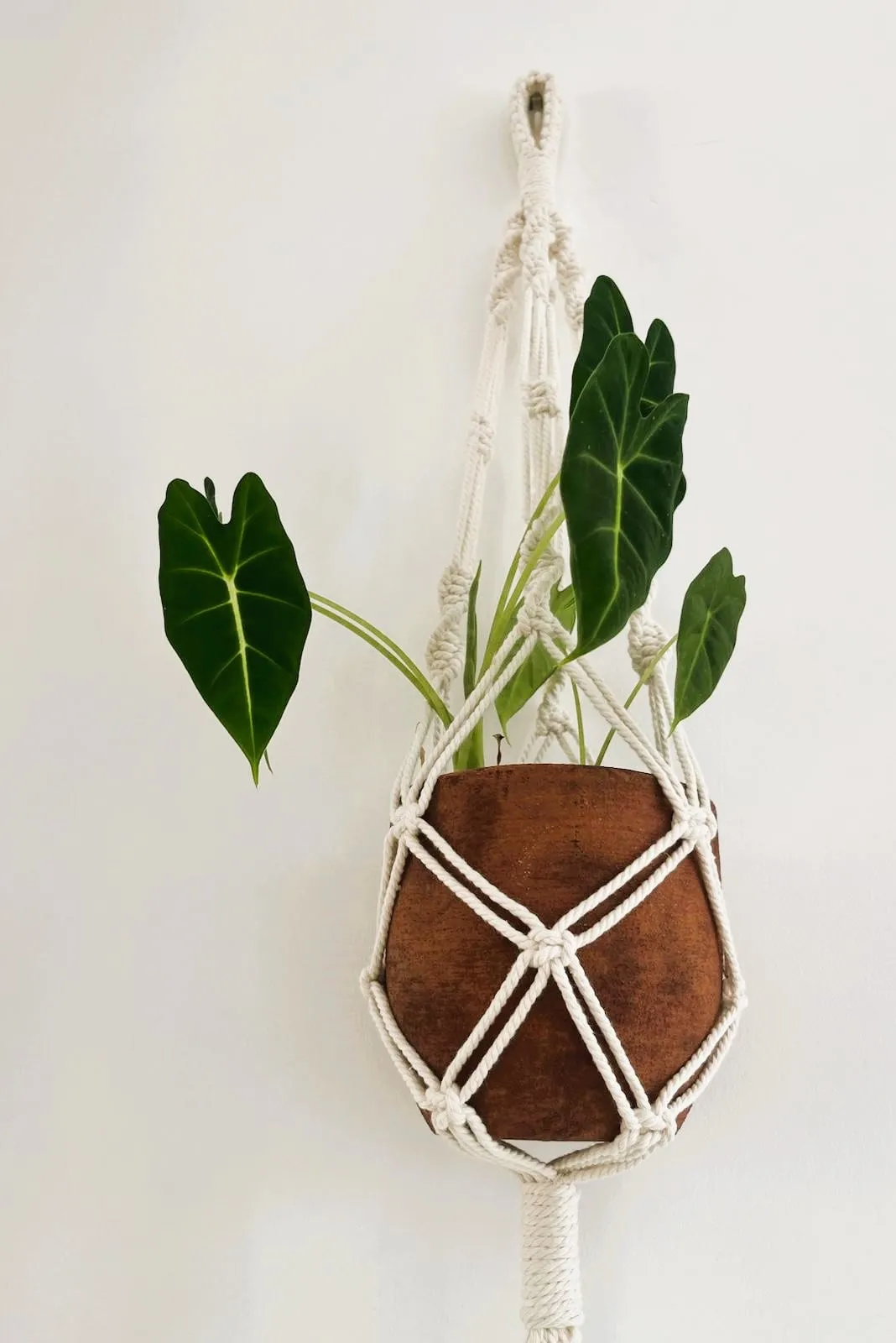 Macramé — 1